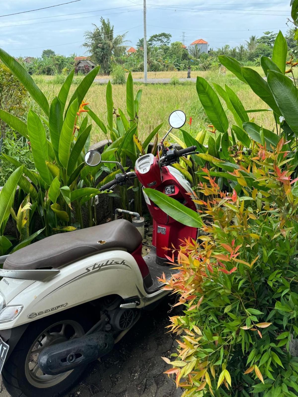 Mandala Rengganis Ubud View Private Villa By Eps Buitenkant foto