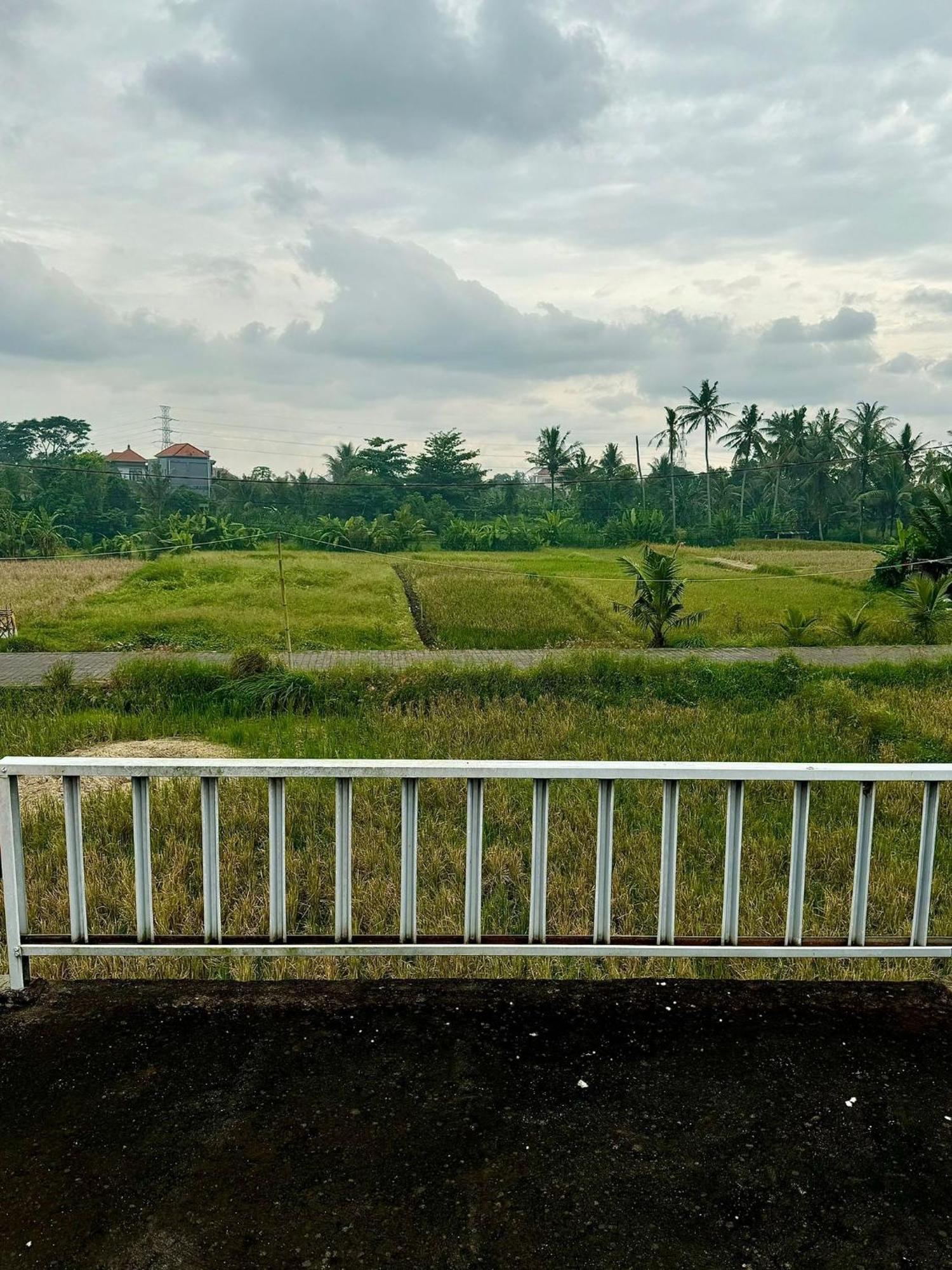 Mandala Rengganis Ubud View Private Villa By Eps Buitenkant foto