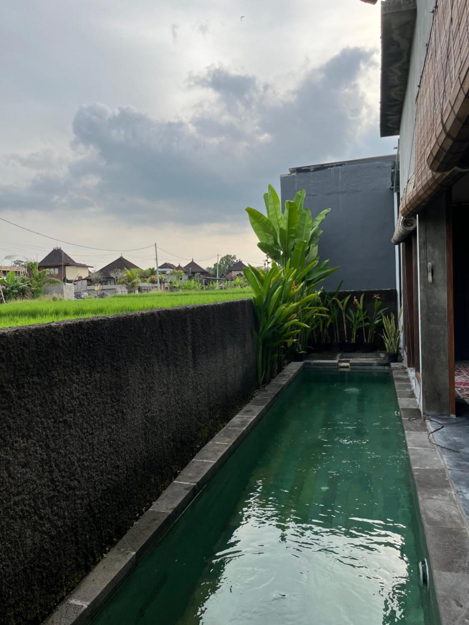 Mandala Rengganis Ubud View Private Villa By Eps Buitenkant foto