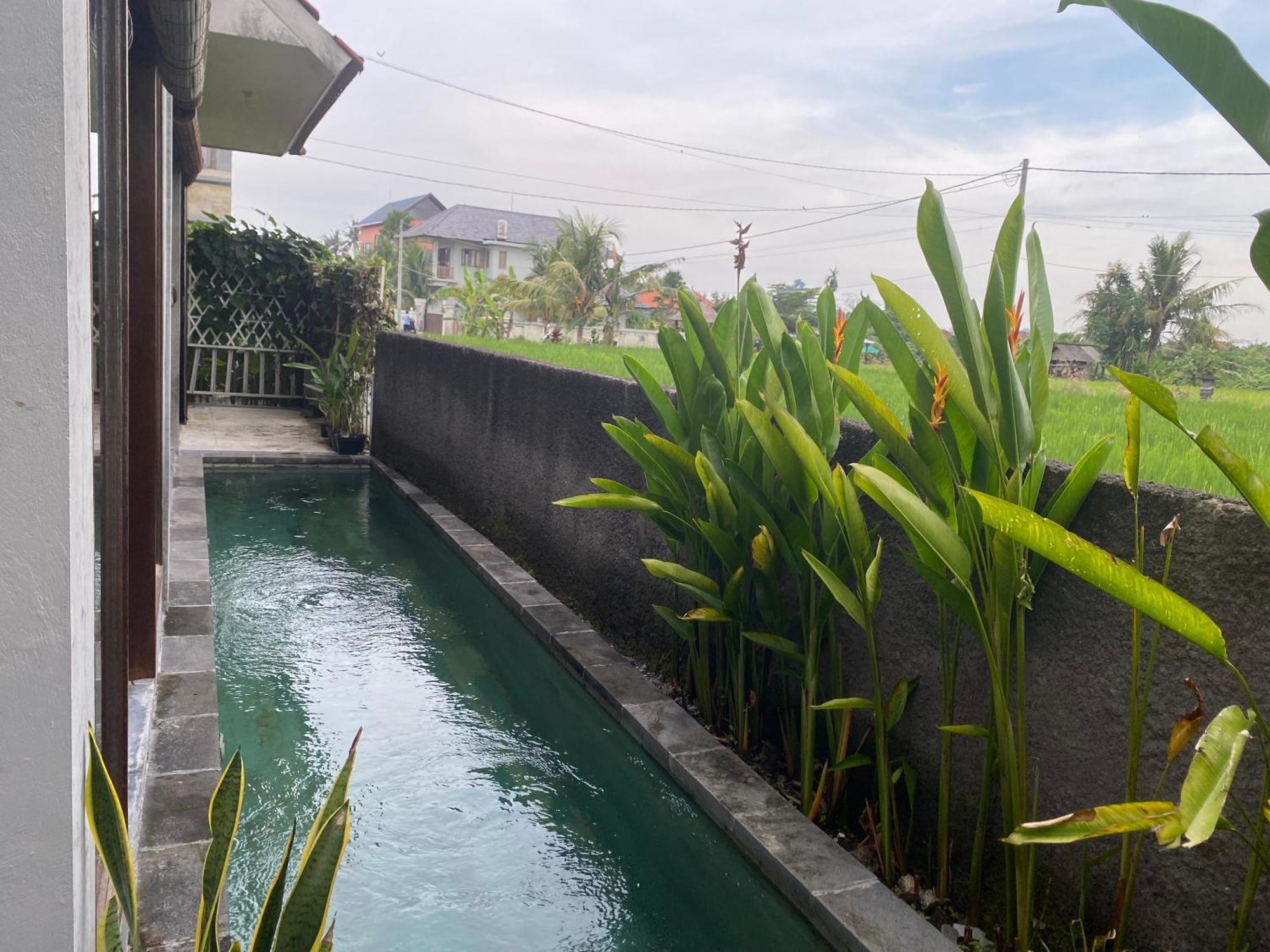 Mandala Rengganis Ubud View Private Villa By Eps Buitenkant foto