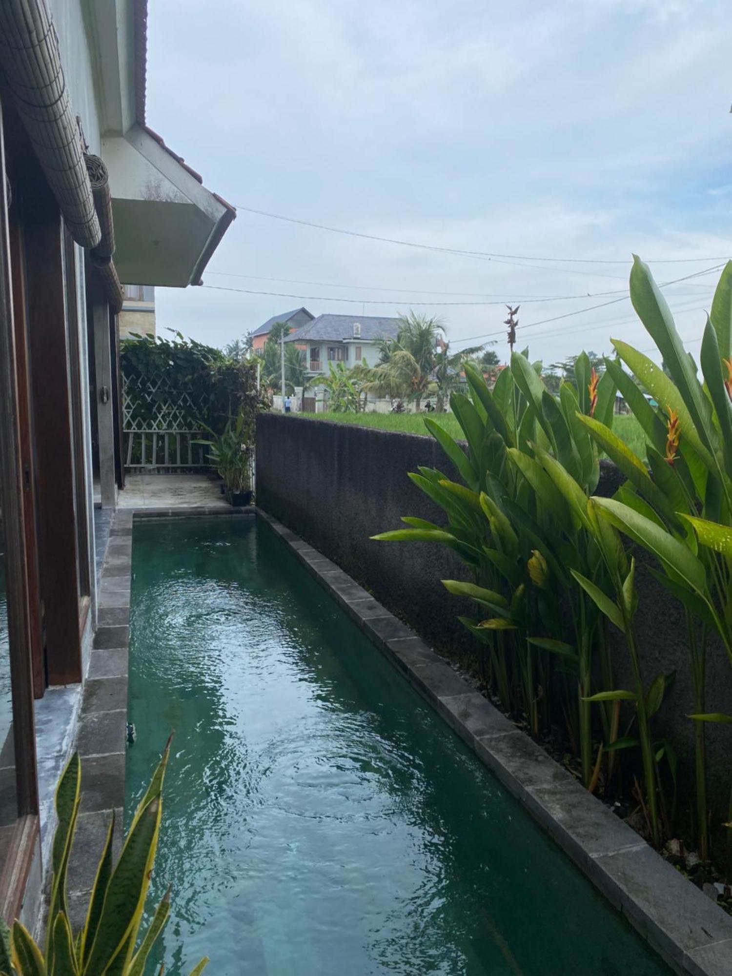 Mandala Rengganis Ubud View Private Villa By Eps Buitenkant foto